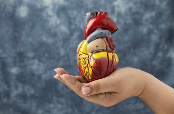 Descubra curiosidades sobre a Saúde do Coração